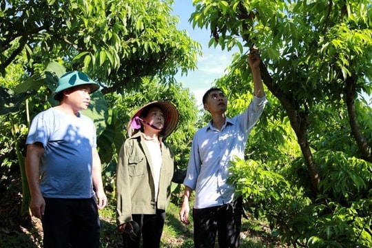 Đồng bộ chính sách an sinh, tạo sinh kế để người dân thoát nghèo