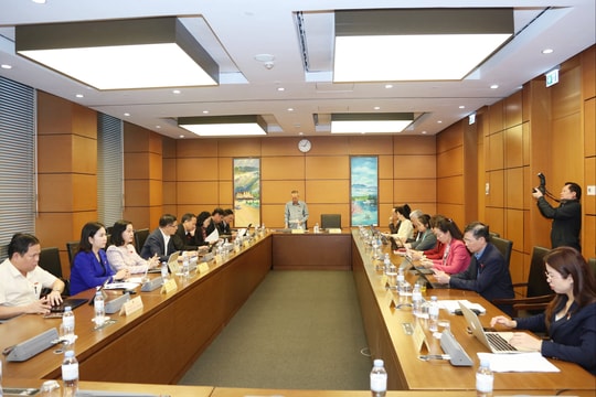 Sáng 03/11/2025, Thảo luận tổ 8 (Bắc Ninh, Cà Mau)