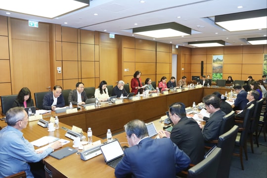 Chiều 3/11/2025, Thảo luận tổ 8 (Bắc Ninh, Cà Mau)