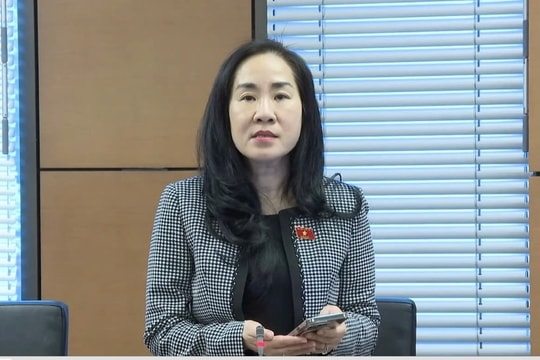 Xem xét mở rộng thí điểm, thử nghiệm các mô hình thương mại điện tử mới