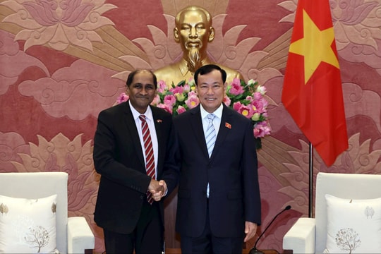 Chủ nhiệm Ủy ban Quốc phòng, An ninh và Đối ngoại, Thượng tướng Lê Tấn Tới tiếp Đại sứ Singapore tại Việt Nam