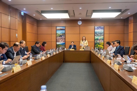 Tạo môi trường phát triển thương mại điện tử minh bạch, bền vững