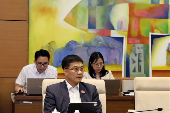 Chiều 3/11/2025: Họp Tổ 14 (Quảng Ninh, An Giang, Hà Tĩnh)