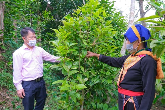 Quảng Ninh - hình mẫu về giảm nghèo bao trùm và bền vững