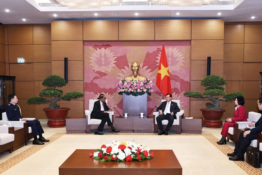 Thắt chặt quan hệ Việt Nam – Singapore qua kênh nghị viện