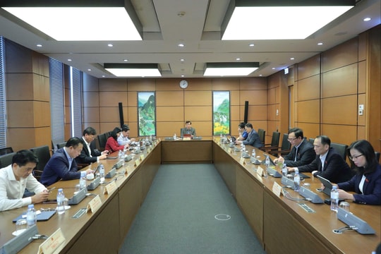 Cần chuẩn hóa dữ liệu thống kê và thiết lập cơ chế quản lý thương mại điện tử liên ngành