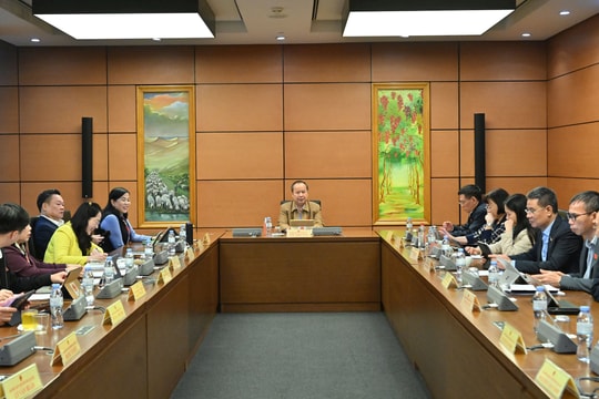 Sáng 3/11/2025, Thảo luận tổ 5 (Thái Nguyên, Gia Lai)