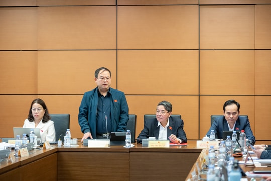 Đề nghị luật hóa trách nhiệm nền tảng thương mại điện tử để bảo vệ người tiêu dùng