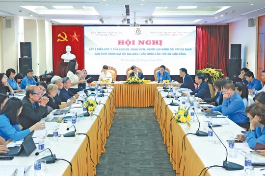 Cơ sở cho những quyết sách an sinh