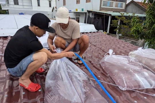 Đắk Lắk: Ban hành công điện khẩn ứng phó với bão Kalmaegi