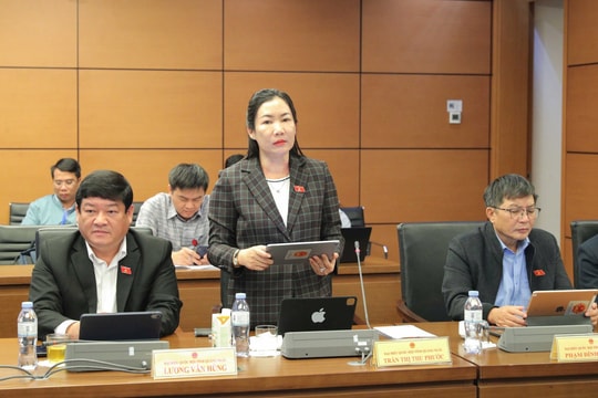 Hiển thị thông tin lý lịch tư pháp trên VNeID