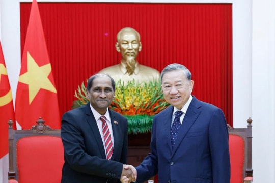 Party chief congratulates Singaporean ambassador on successful tenure