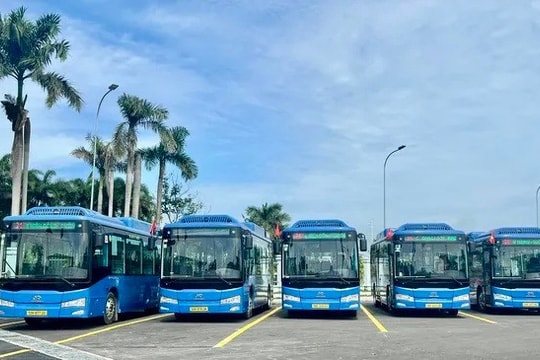 First electric bus route to be launched in Con Dao in December