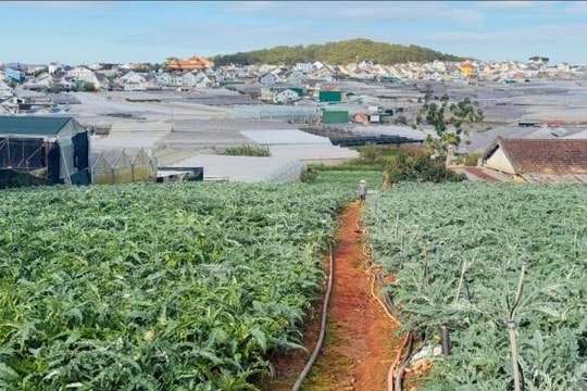 Từ chuẩn hóa đến hội nhập: Hành trình chinh phục thị trường Halal