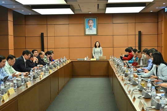 Ngày 5/11/2025, Họp tổ TP Hồ Chí Minh