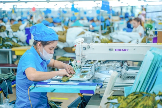 Vĩnh Long: Phát triển công nghiệp hỗ trợ gắn với chuyển đổi xanh - sạch - tuần hoàn