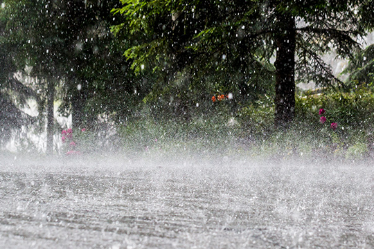 Dự báo thời tiết ngày 7/11: Mưa diện rộng trên cả nước