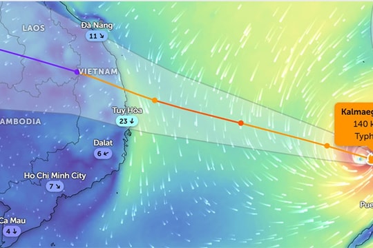 TP. Hồ Chí Minh: Yêu cầu các đơn vị trực 24/24, sẵn sàng phương án ứng phó bão Kalmaegi