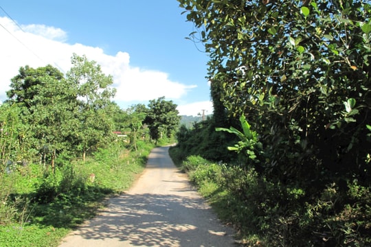 Khơi dậy sức dân, tạo đột phá phát triển bền vững