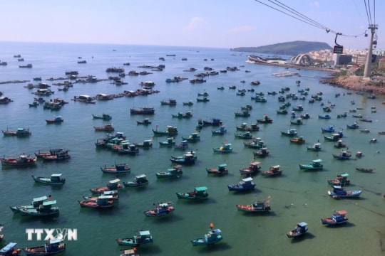 Vietnam cracks down on IUU fishing violations with transparency, strict enforcement