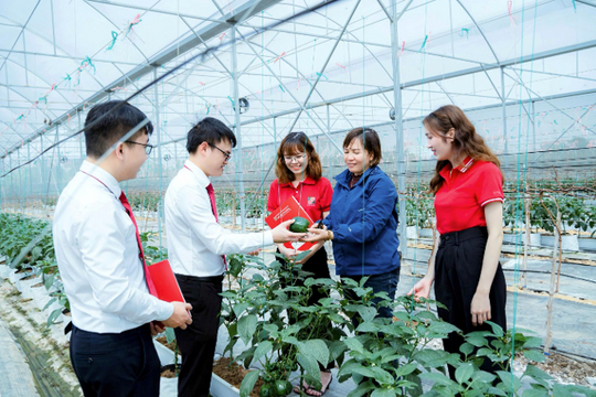 Agribank với trách nhiệm ESG toàn diện, từ “vốn xanh” đến an sinh cộng đồng