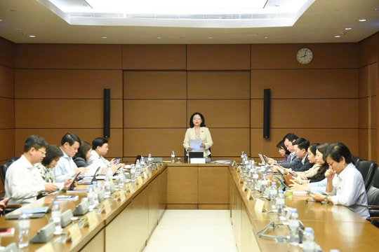 Có chế tài nghiêm khắc với hành vi không phục hồi môi trường sau khai thác