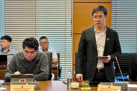 Đồng bộ chính sách quản lý môi trường, khai thác, sử dụng tài nguyên rừng hiệu quả