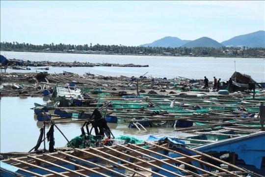 PM requires early resumption of essential service supply for typhoon victims