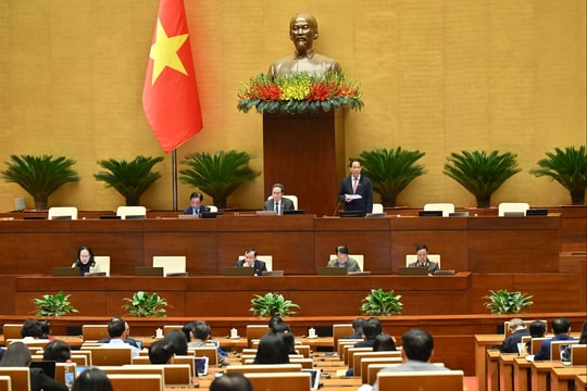 Chiều 7/11/2025, Kỳ họp thứ mười, Quốc hội thảo luận tại Hội trường