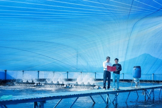 Bài 1: Từ Nghị quyết số 68-NQ/TW đến hành động thực tiễn tại Agribank