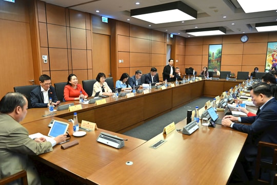 Sáng 7/11/2025, Kỳ họp thứ mười, Họp tổ 5 (Thái Nguyên, Gia Lai)