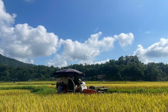 Thái Nguyên giảm nghèo bền vững từ những cách làm phù hợp thực tiễn