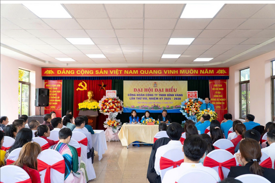 Đại hội Công đoàn Công ty TNHH Đỉnh Vàng lần thứ VIII  thành công tốt đẹp