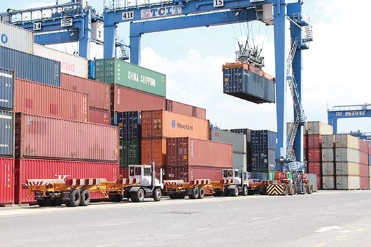 Ngành Hải quan: Triển khai chức năng tra cứu thông tin tờ khai hải quan điện tử dành cho người dân và doanh nghiệp