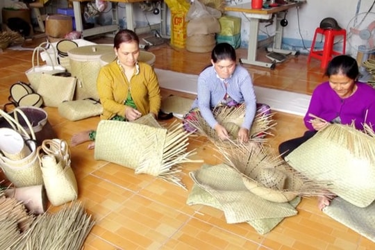 An Giang số hóa công tác giám sát, đánh giá giảm nghèo