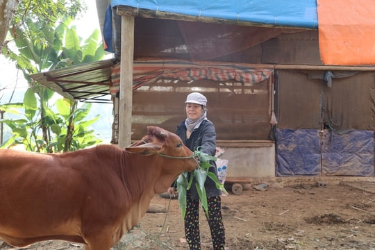 Thái Nguyên tăng tốc thực hiện chương trình giảm nghèo bền vững đến năm 2030