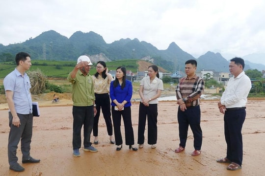 Tuyên Quang Tăng cường ủy quyền, hướng dẫn cho cơ sở