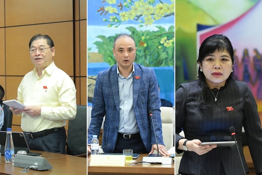 Rà soát kỹ lưỡng phạm vi quyền chuyển giao công nghệ