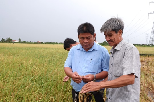 Tay Ninh expands middle East–Africa markets for farm produce