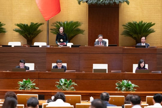 Dự án Luật Dân số: Hoàn thiện quy định về chính sách của Nhà nước về dân số và phát triển