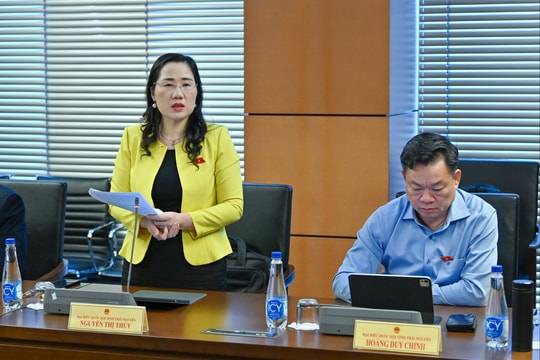 Chiều 11/11/2025: Họp tổ 5 (Gia Lai và Thái Nguyên)