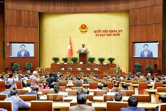 15th NA’s 10th session mulls over regulations on lawful activities related to drugs