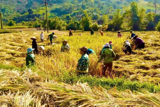 Những mô hình kinh tế làm thay đổi vùng đất khó Cao Minh