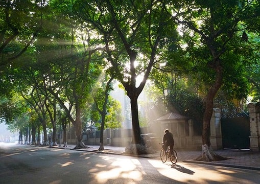 Dự báo thời tiết ngày 12/11: Cả 3 miền có nắng, Hà Nội thấp nhất 19 độ