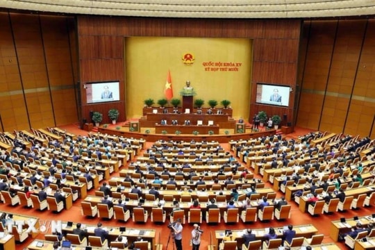 16th National Assembly expected to have 500 deputies