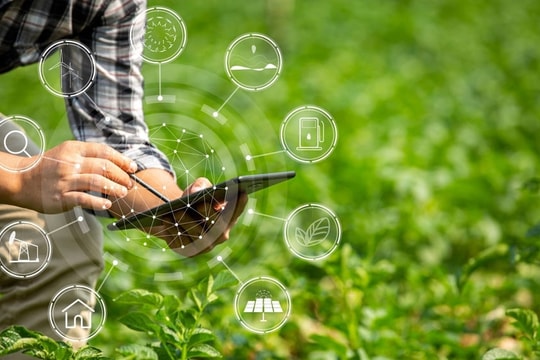 TP. Hồ Chí Minh: Đồng hành cùng nông sản sạch, xây nền tảng cho đô thị bền vững