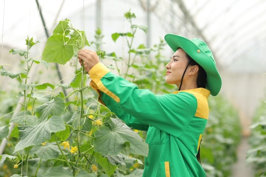 Dấu ấn Masan tại Triển lãm 80 năm nông nghiệp: Khẳng định vai trò tiên phong kiến tạo 'kỷ nguyên xanh' của Việt Nam