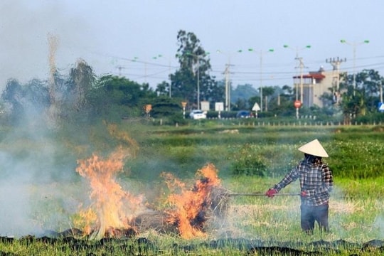 Hoàn thiện thể chế, thúc đẩy chuyển đổi xanh hướng tới mục tiêu Net Zero