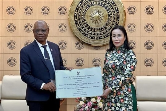 WWF provides 40,000 USD to help Da Nang recover from natural disasters