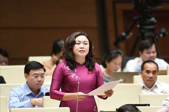 Sáng 13/11/2025, Quốc hội thảo luận tại Hội trường